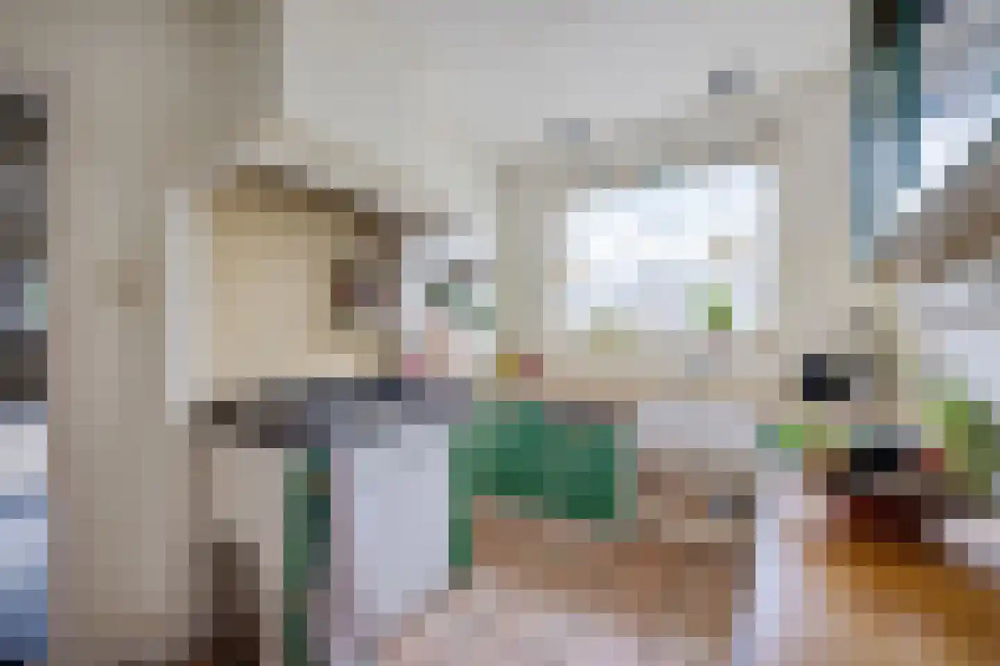 Burenlaan 32 Pingjum thumbnail 21