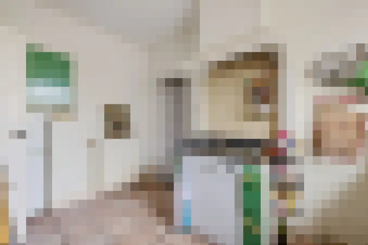 Burenlaan 32 Pingjum thumbnail 22