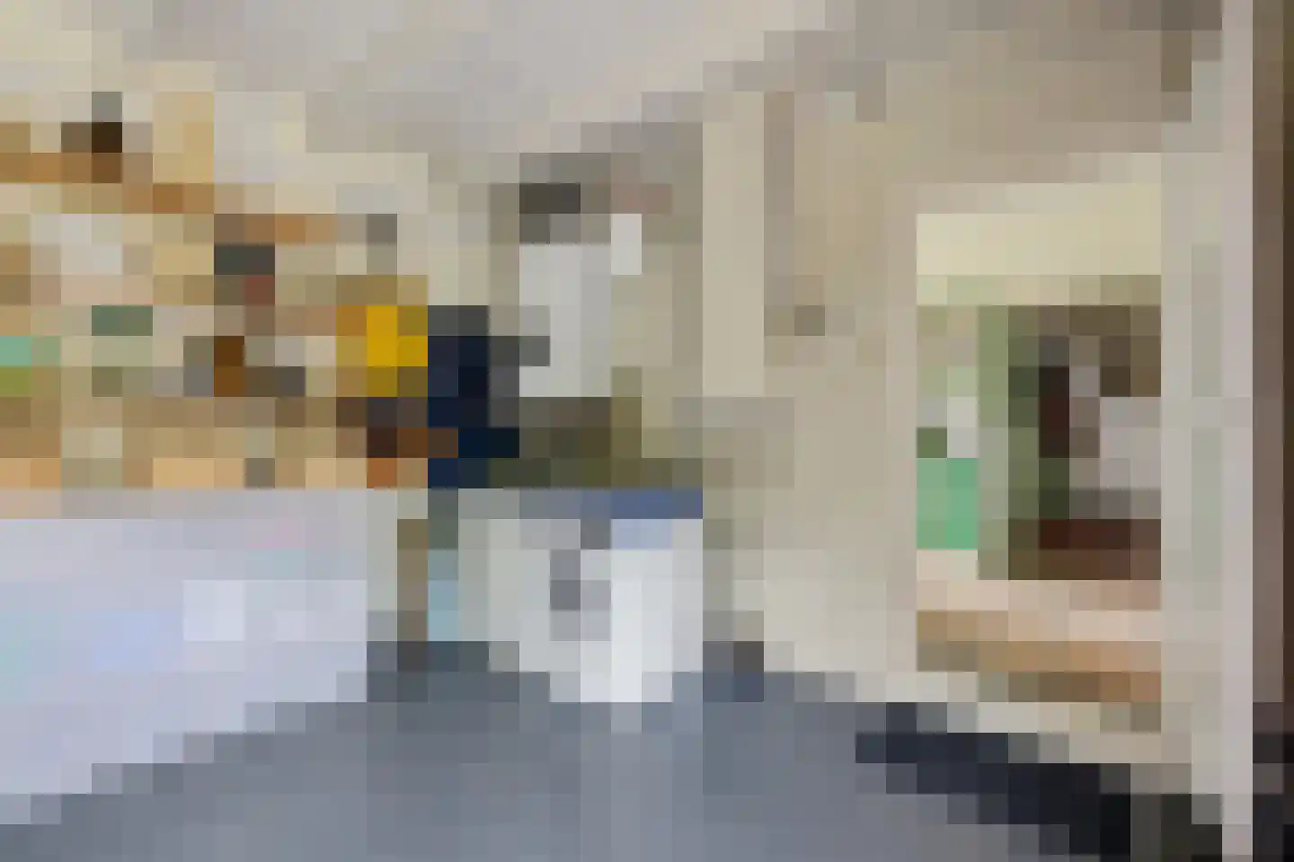 Burenlaan 32 Pingjum thumbnail 23