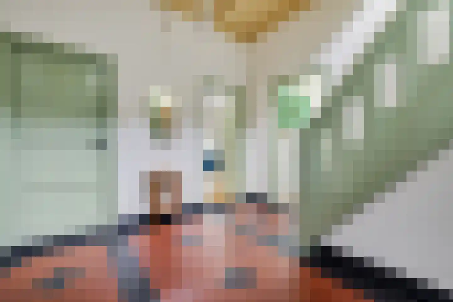 Burenlaan 32 Pingjum thumbnail 27
