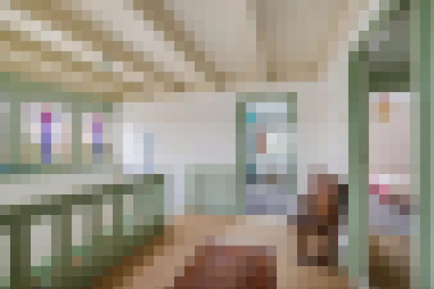 Burenlaan 32 Pingjum thumbnail 29