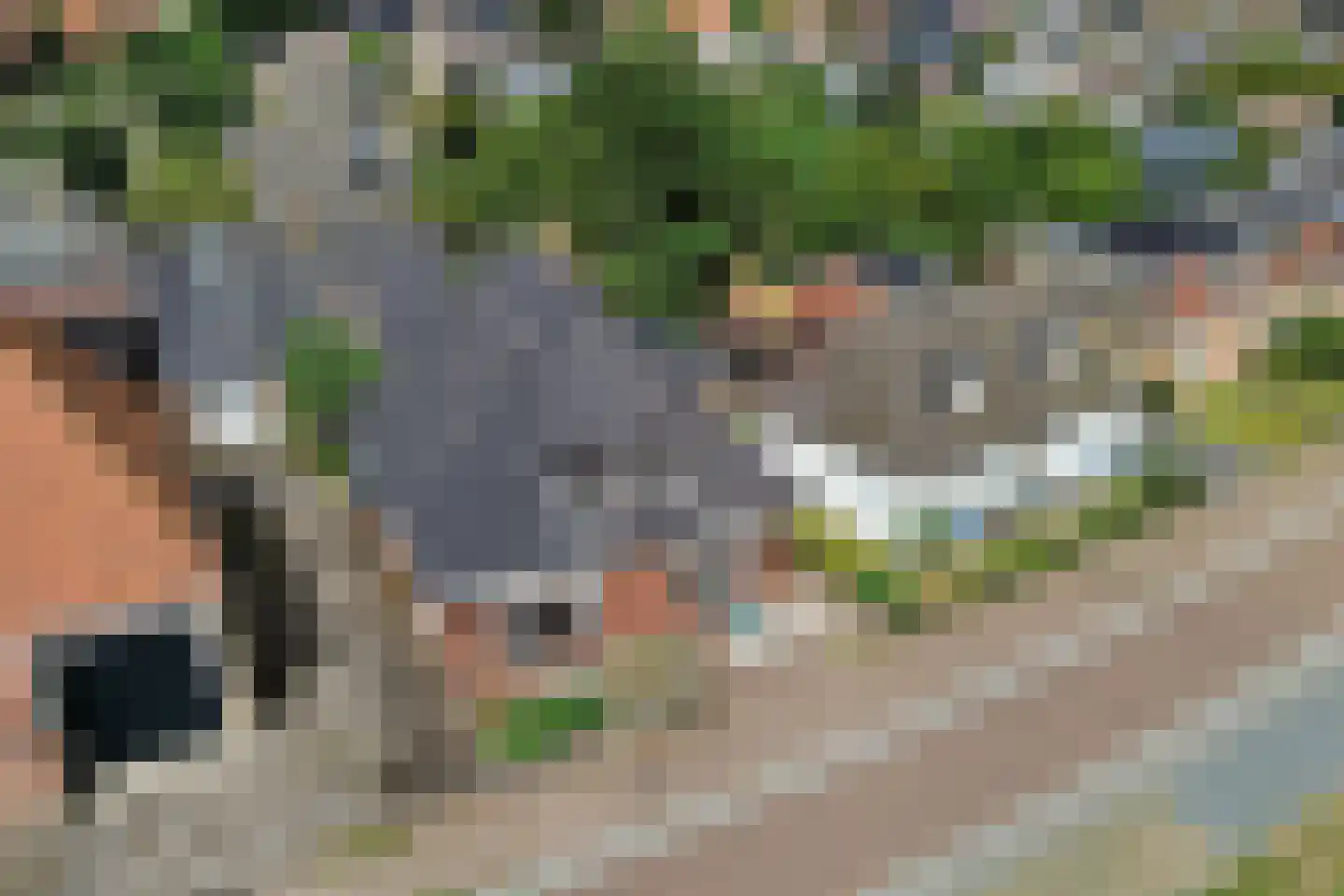 Burenlaan 32 Pingjum foto 3