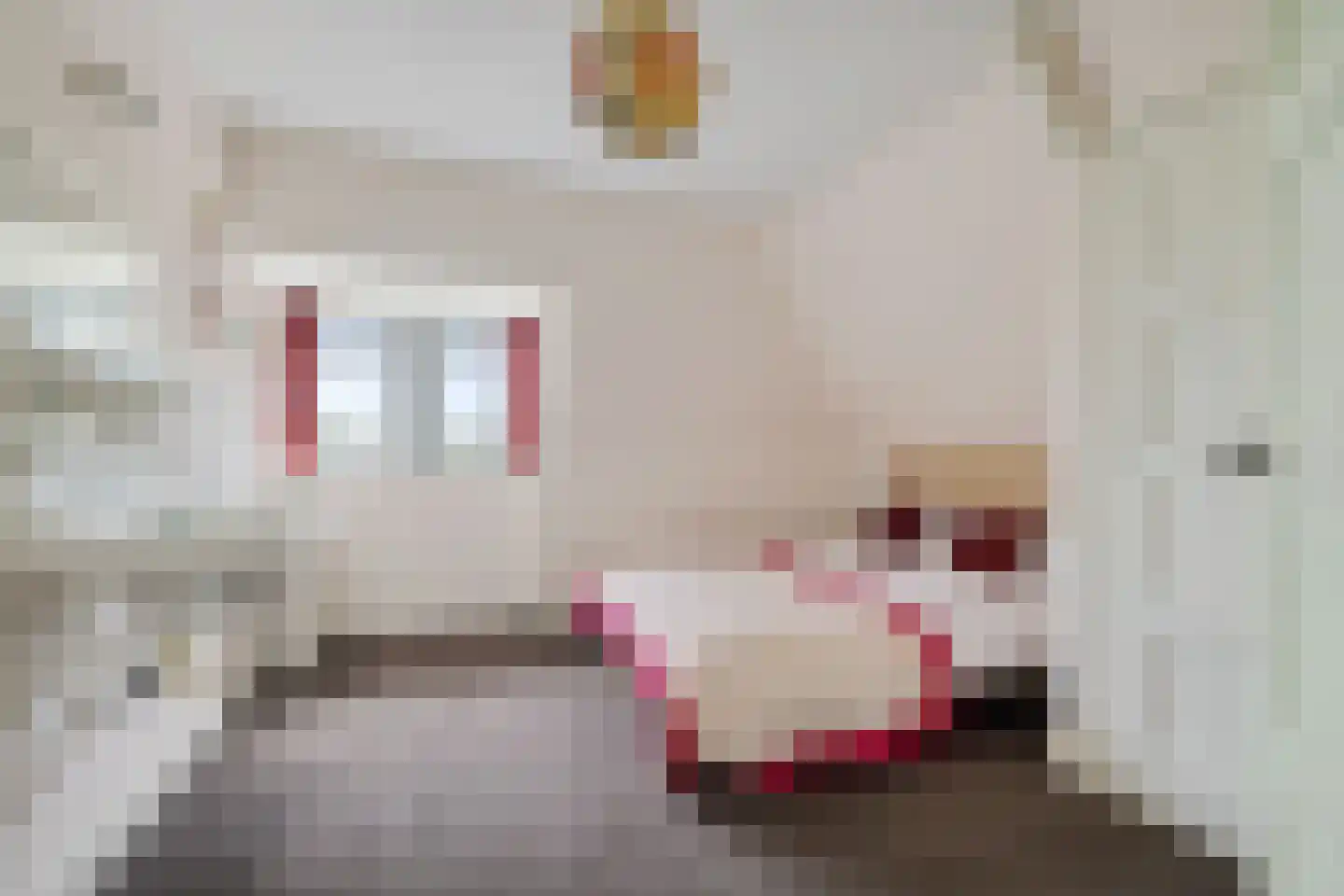 Burenlaan 32 Pingjum thumbnail 32