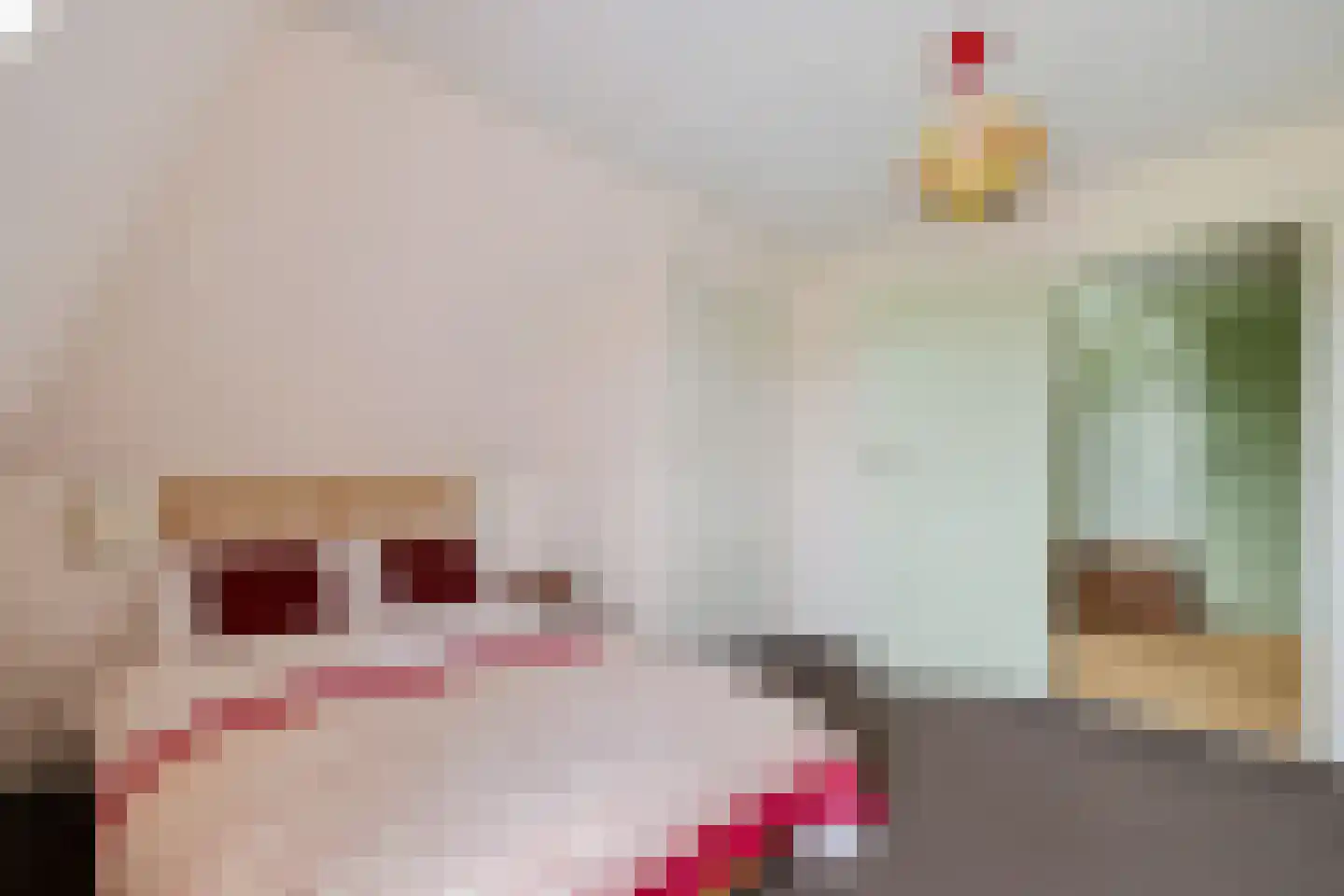 Burenlaan 32 Pingjum thumbnail 33