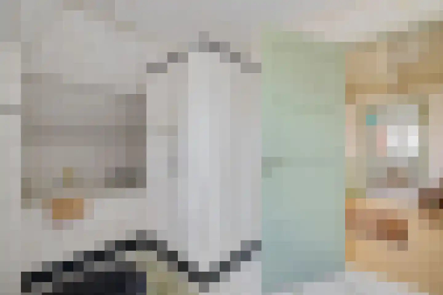 Burenlaan 32 Pingjum thumbnail 37