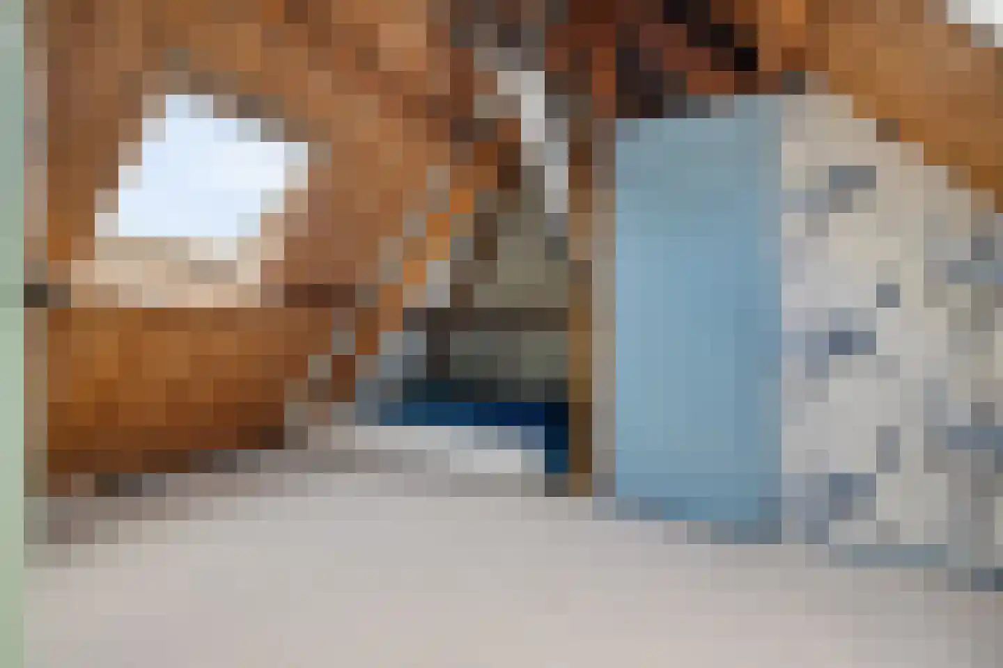 Burenlaan 32 Pingjum thumbnail 43