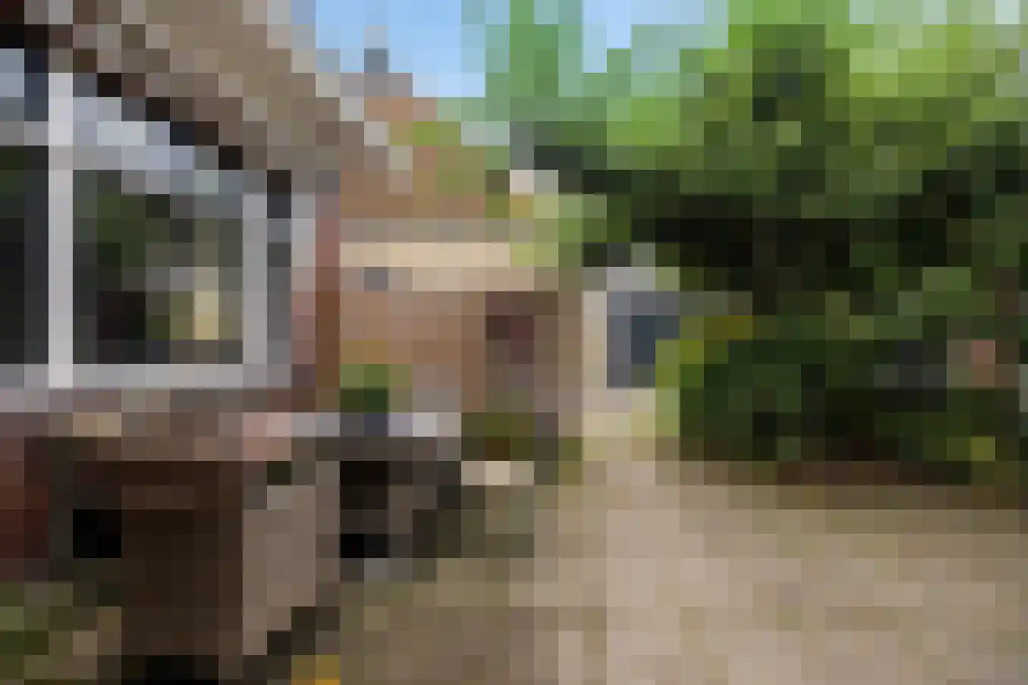 Burenlaan 32 Pingjum thumbnail 46