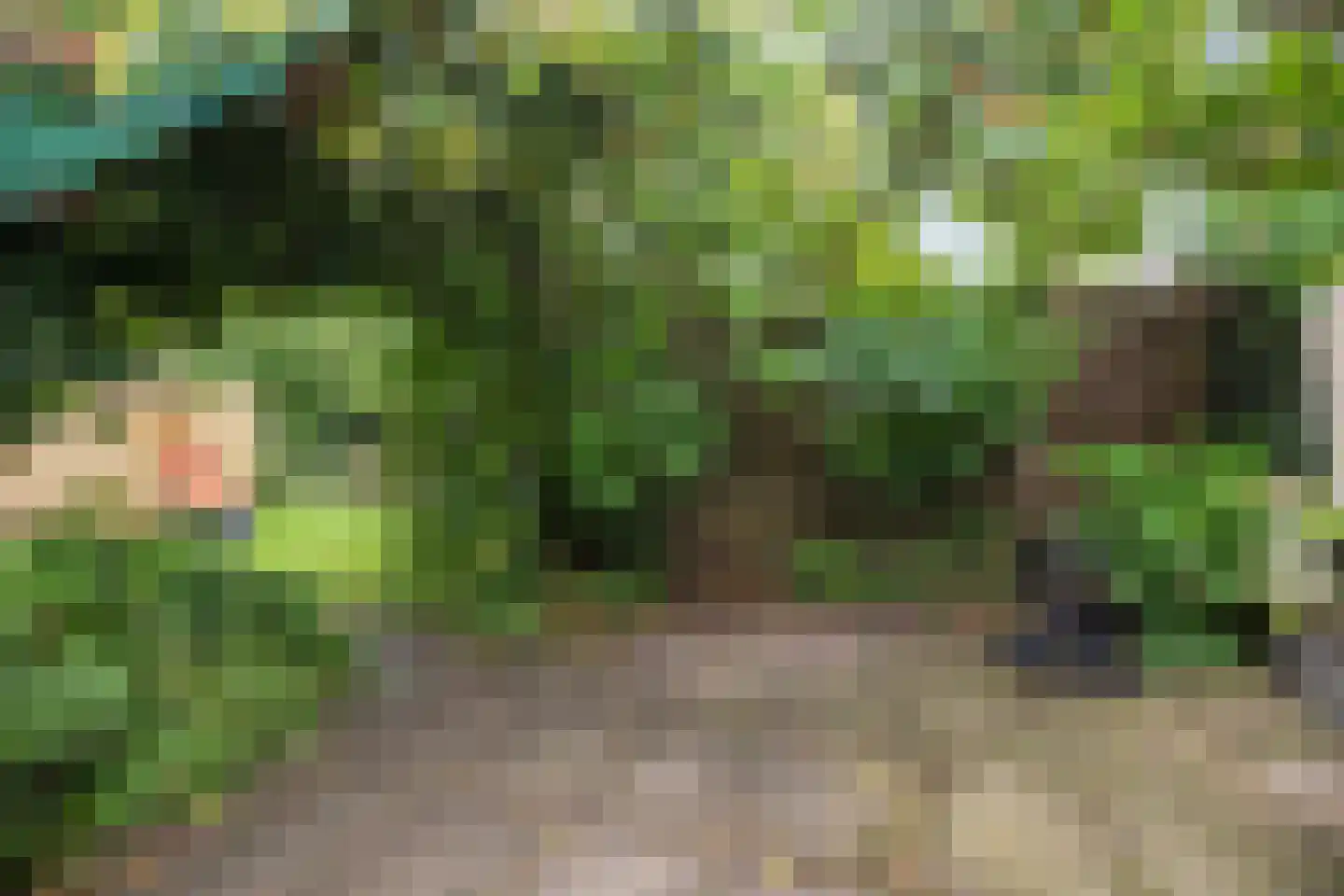 Burenlaan 32 Pingjum thumbnail 48