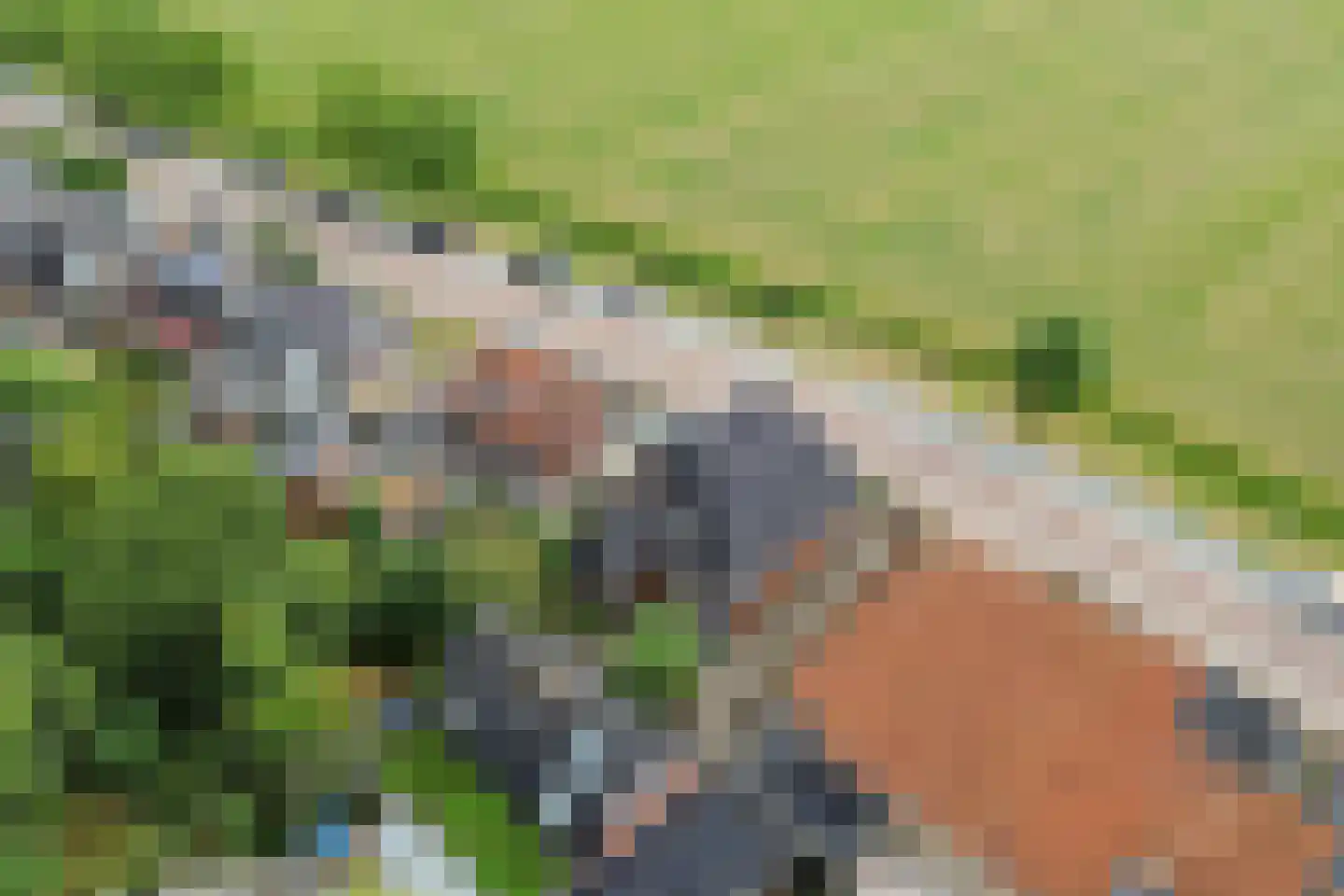 Burenlaan 32 Pingjum thumbnail 58