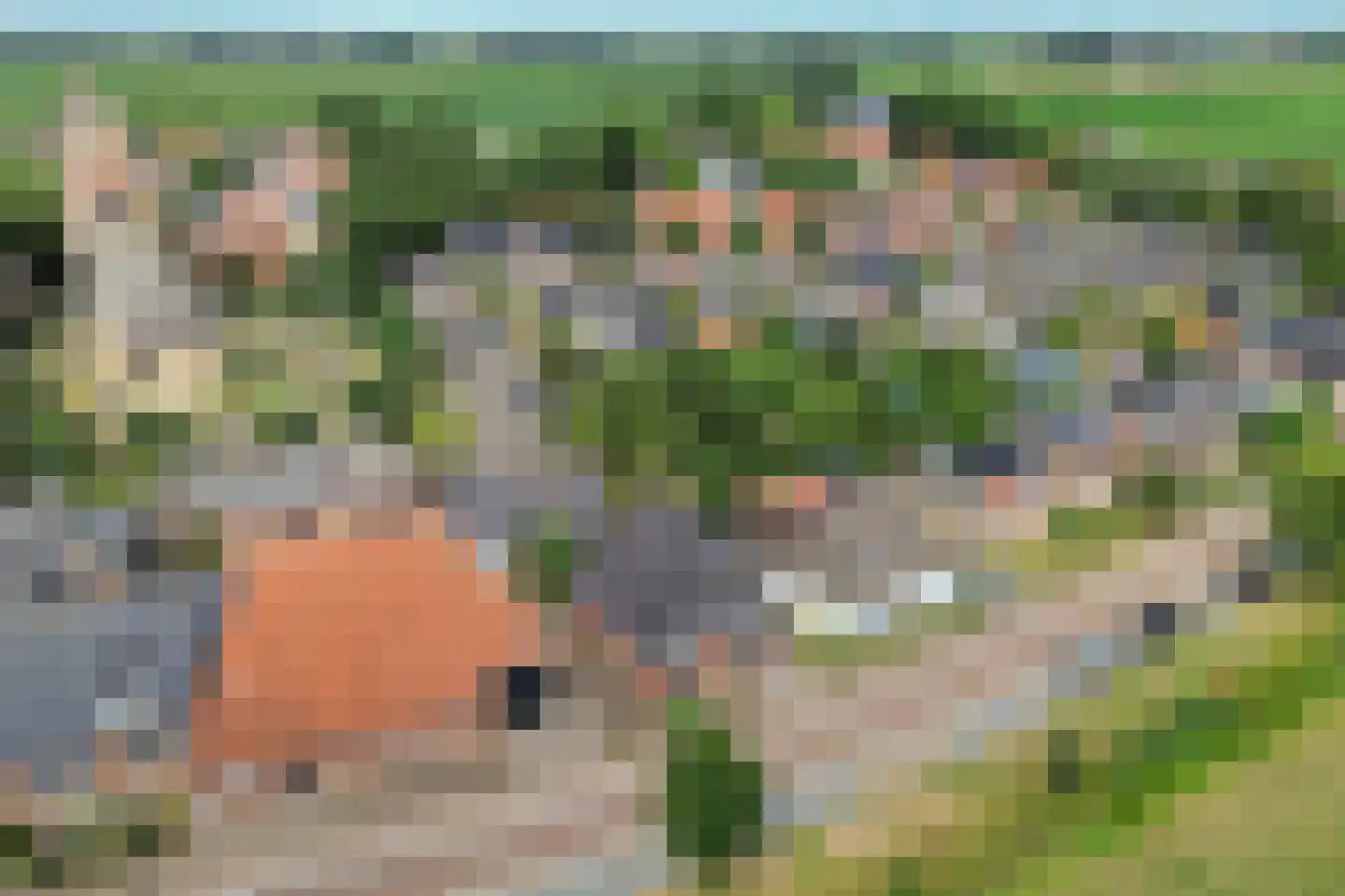 Burenlaan 32 Pingjum thumbnail 59