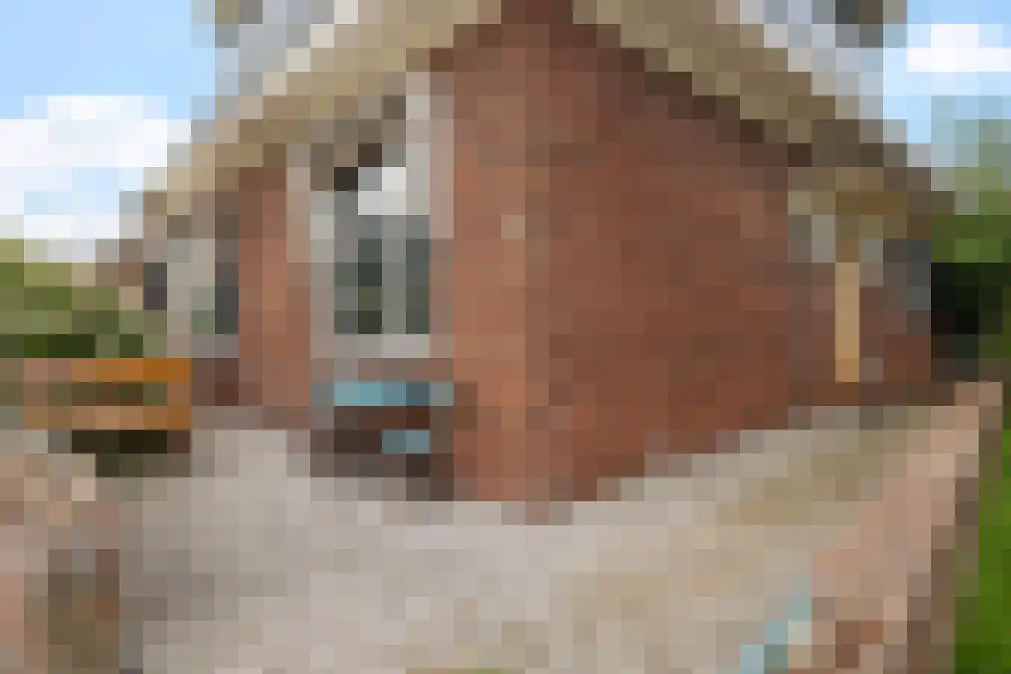 Burenlaan 32 Pingjum thumbnail 6