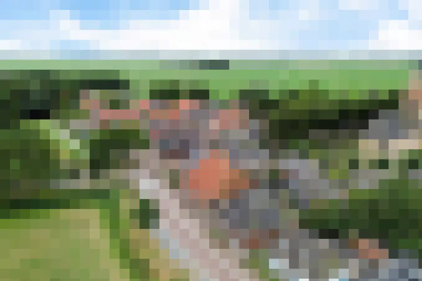 Burenlaan 32 Pingjum thumbnail 61