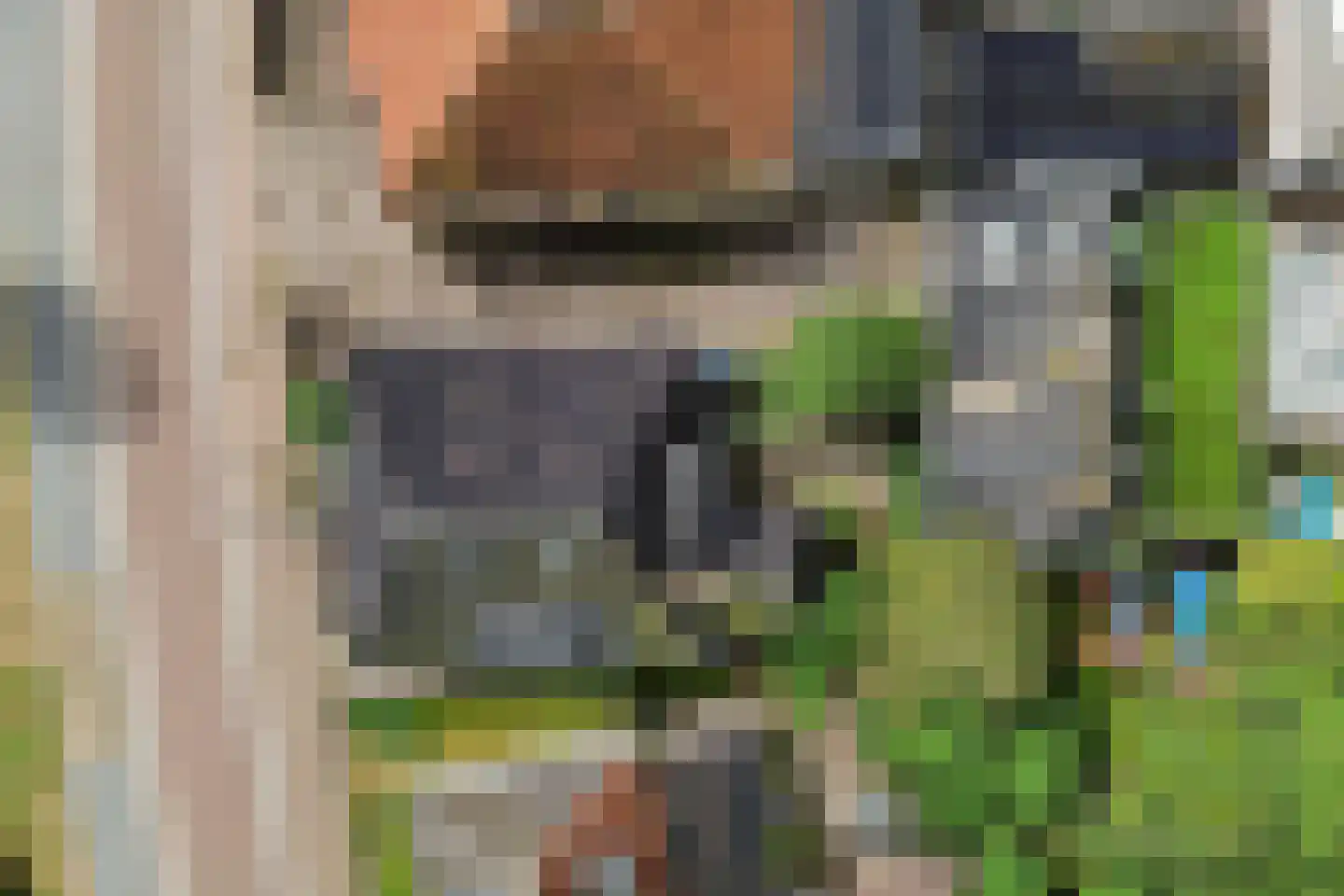 Burenlaan 32 Pingjum thumbnail 62