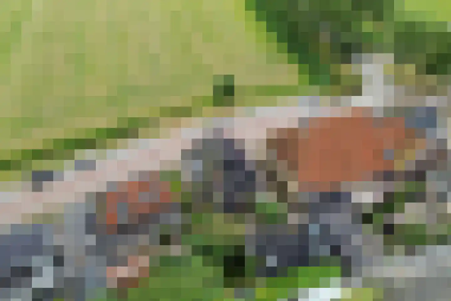 Burenlaan 32 Pingjum thumbnail 63