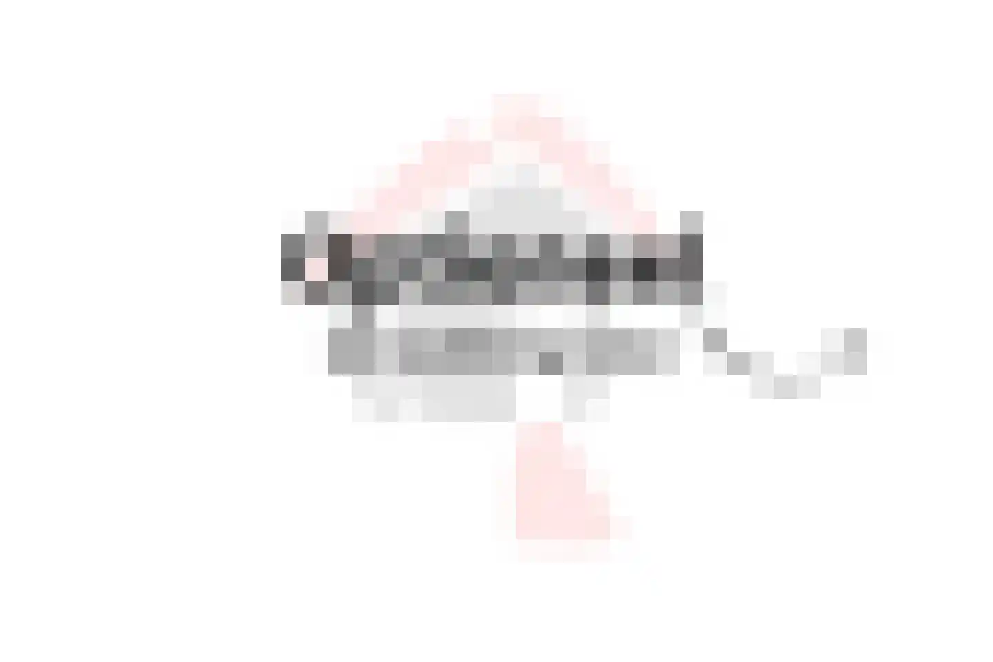 Burenlaan 32 Pingjum thumbnail 68