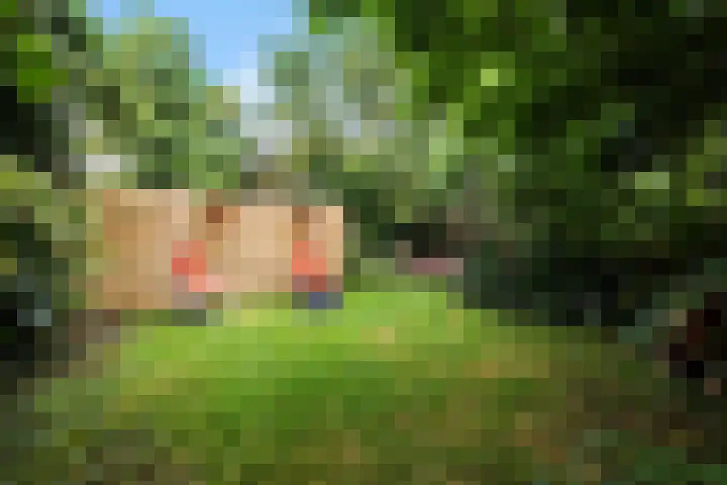 Burenlaan 32 Pingjum thumbnail 69