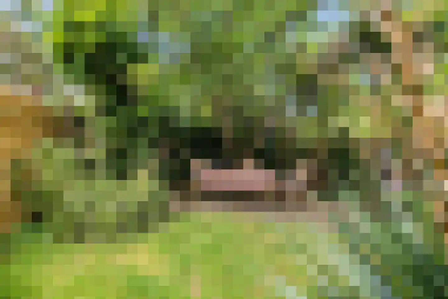 Burenlaan 32 Pingjum thumbnail 70
