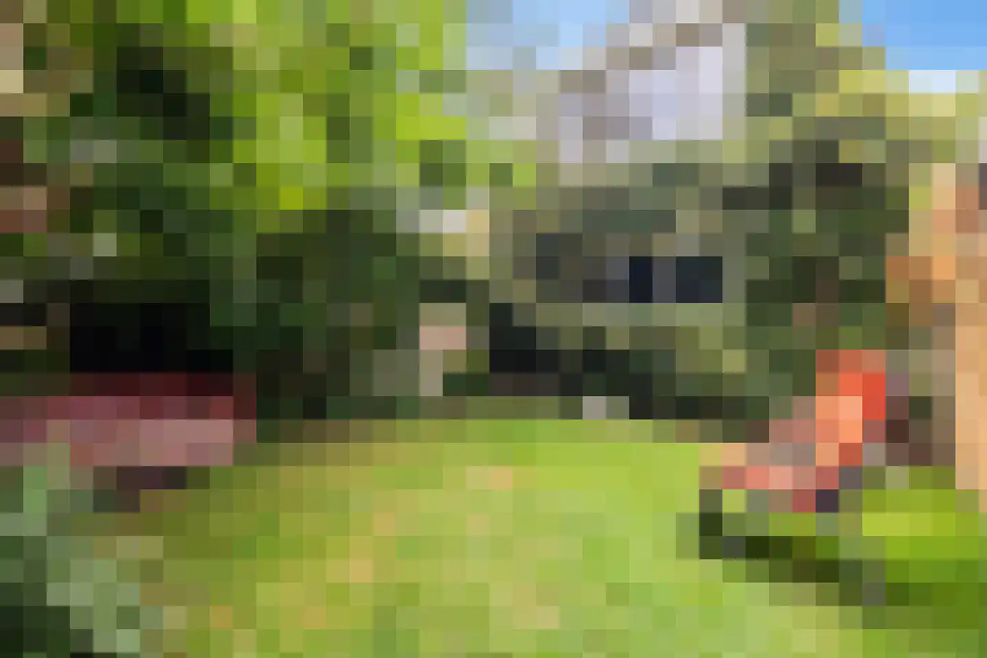 Burenlaan 32 Pingjum thumbnail 71