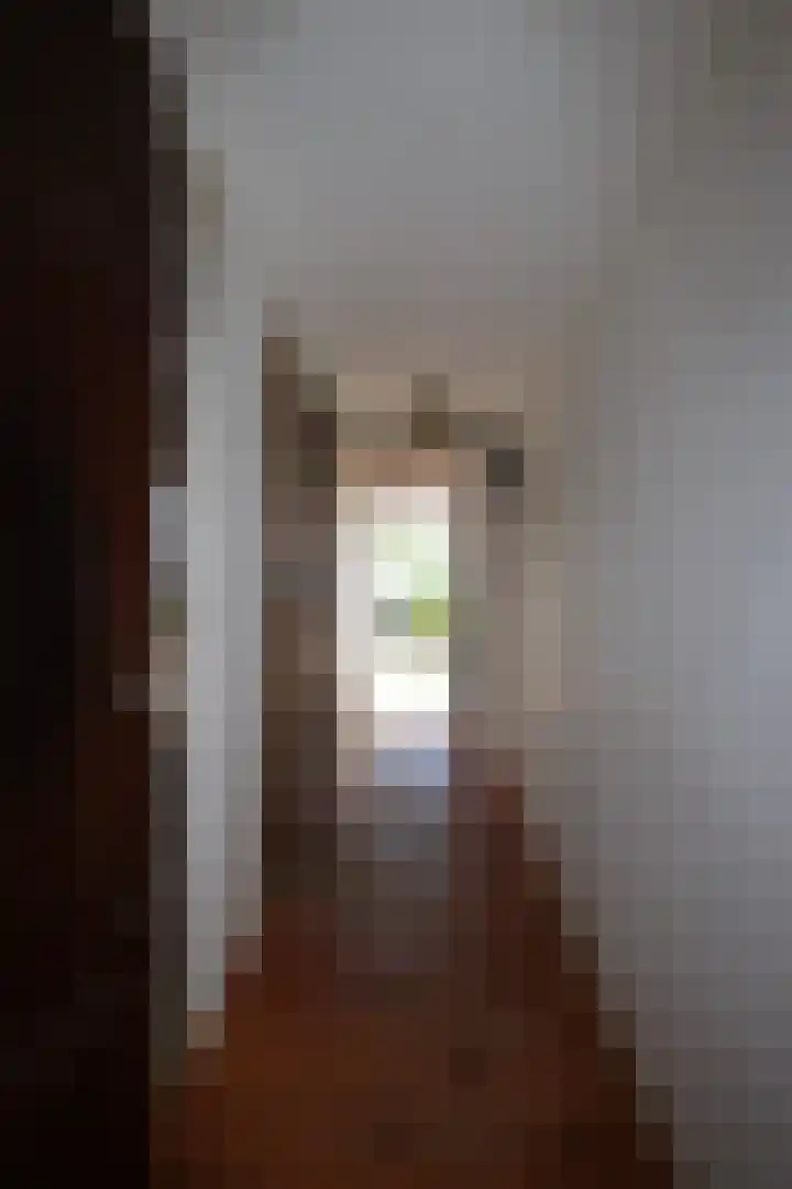 Burenlaan 42 Pingjum thumbnail 10