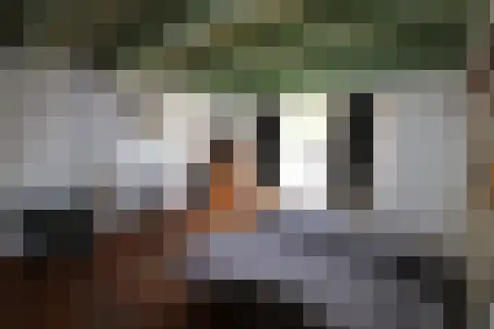 Burenlaan 42 Pingjum thumbnail 12