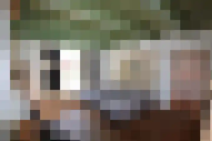 Burenlaan 42 Pingjum thumbnail 13