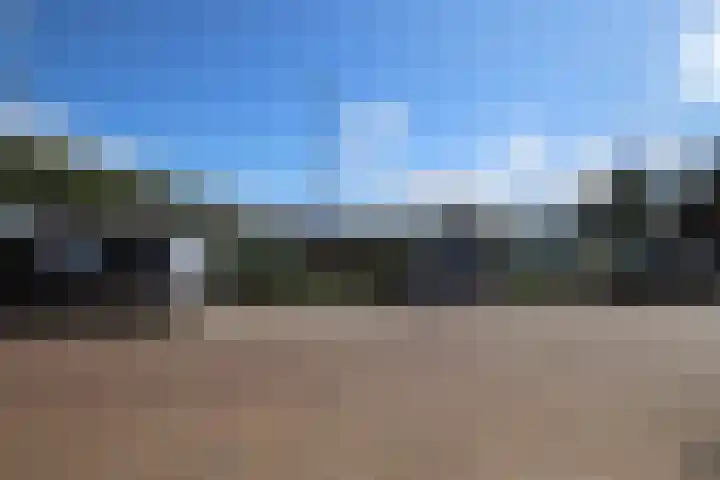 Burenlaan 42 Pingjum thumbnail 14