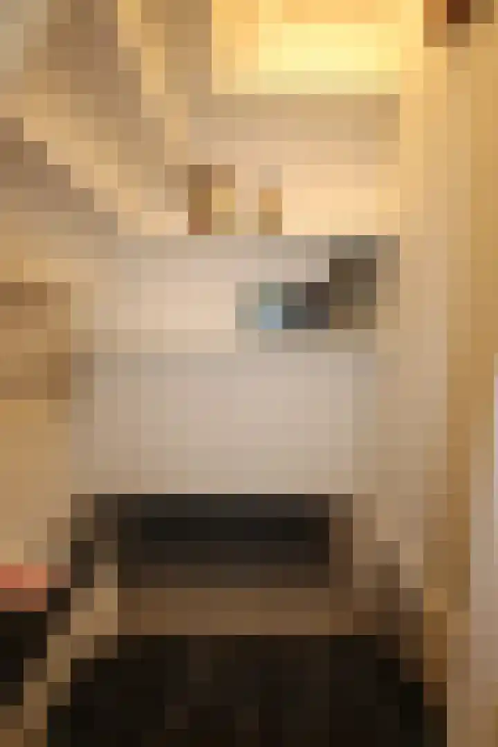 Burenlaan 42 Pingjum thumbnail 18