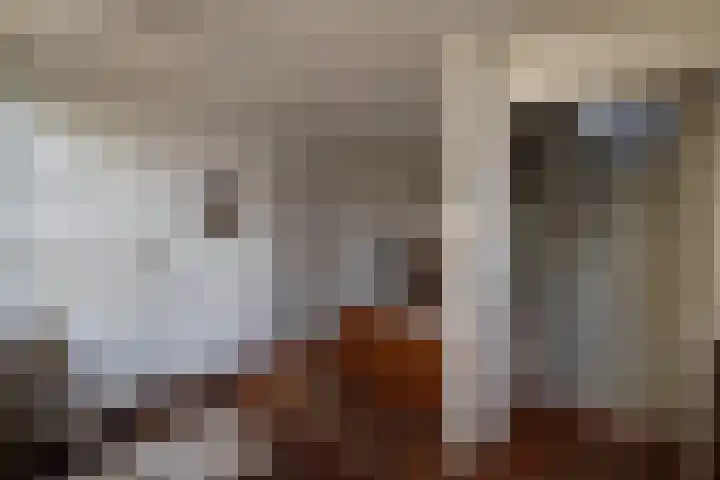 Burenlaan 42 Pingjum thumbnail 21
