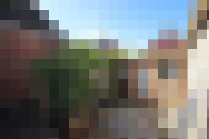 Burenlaan 42 Pingjum thumbnail 25