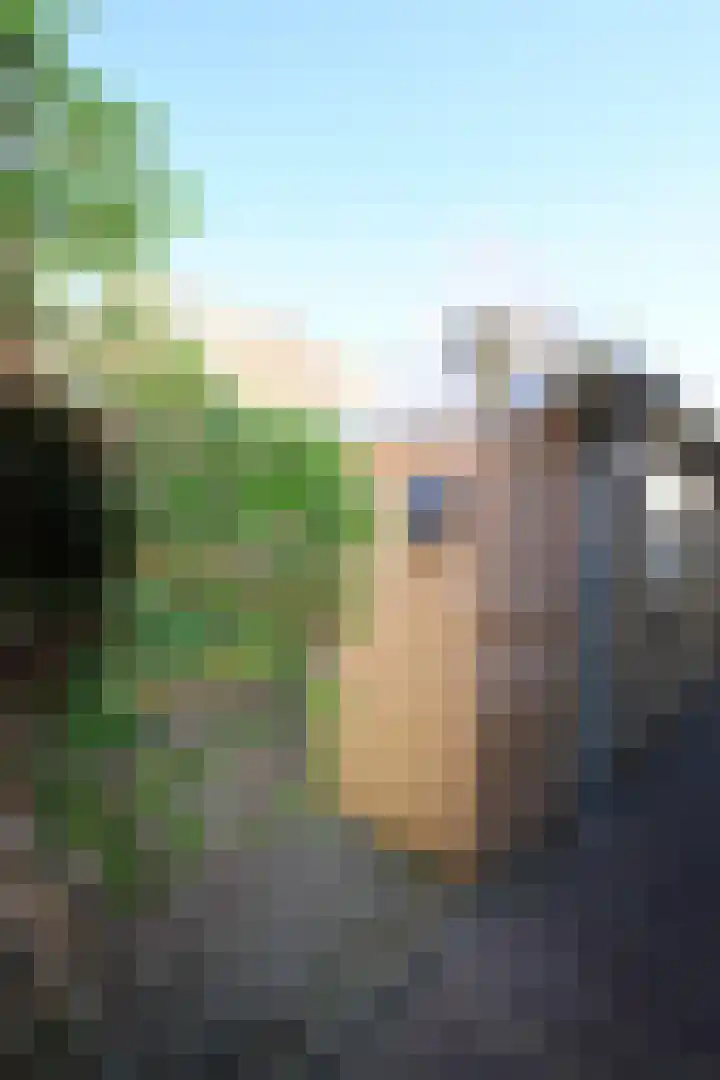 Burenlaan 42 Pingjum thumbnail 26
