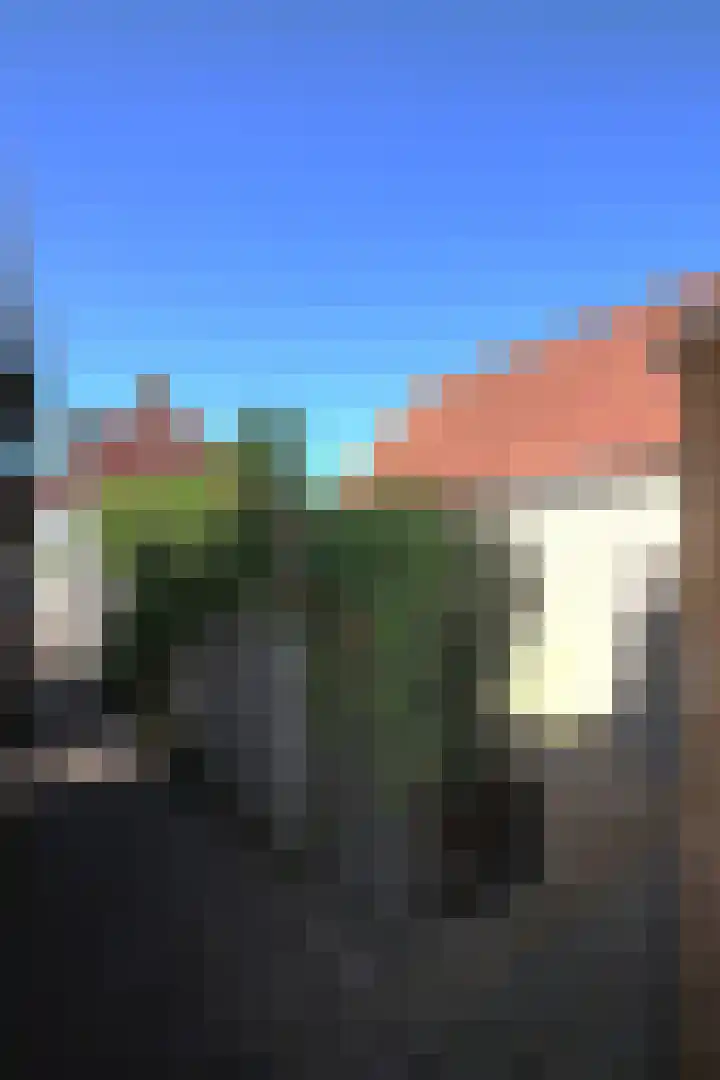 Burenlaan 42 Pingjum thumbnail 27