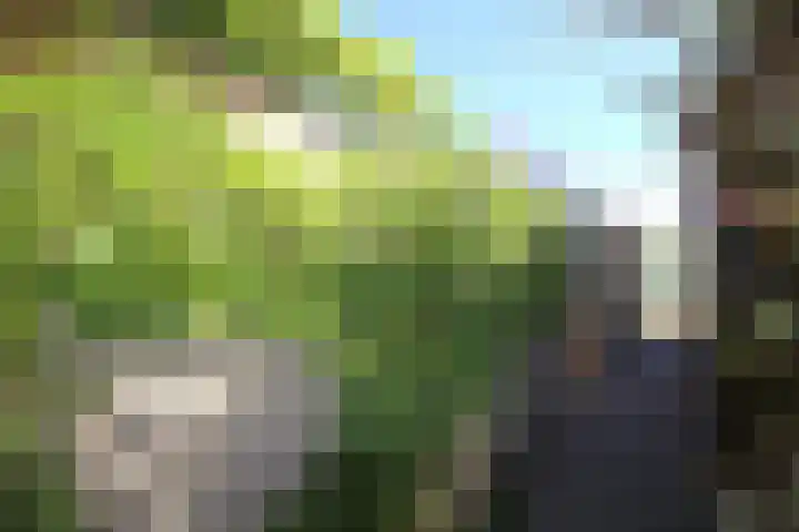 Burenlaan 42 Pingjum thumbnail 29