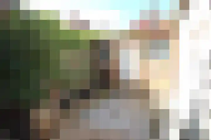 Burenlaan 42 Pingjum thumbnail 30