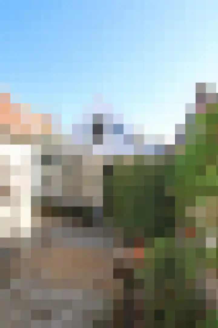 Burenlaan 42 Pingjum thumbnail 31