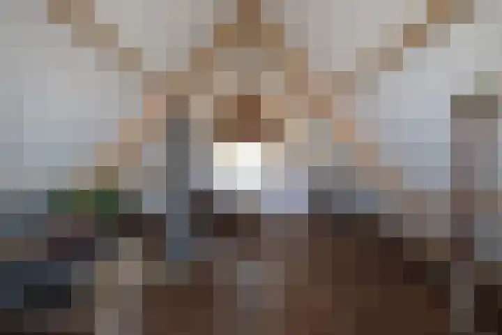 Burenlaan 42 Pingjum thumbnail 35