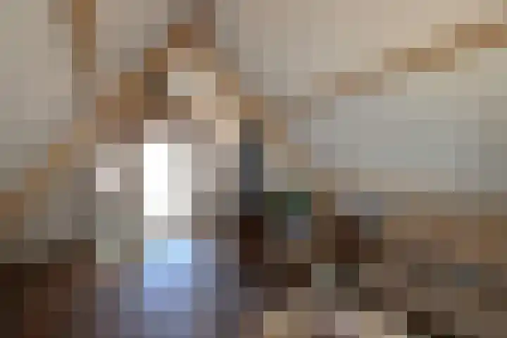 Burenlaan 42 Pingjum thumbnail 37