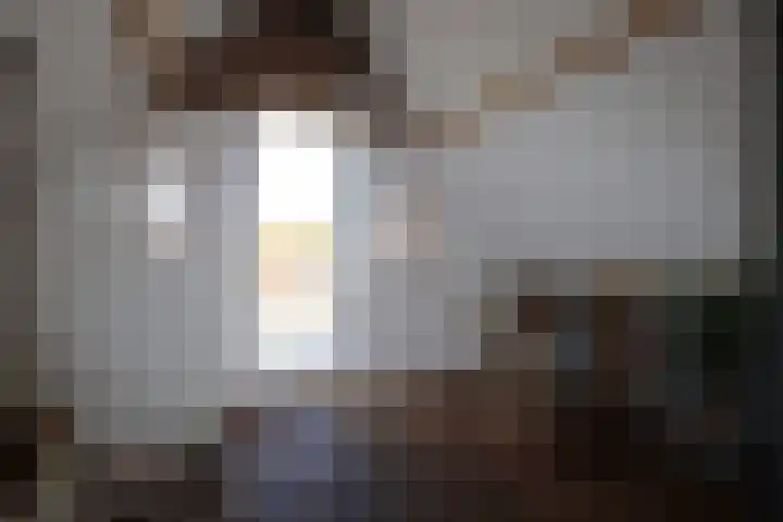 Burenlaan 42 Pingjum thumbnail 39