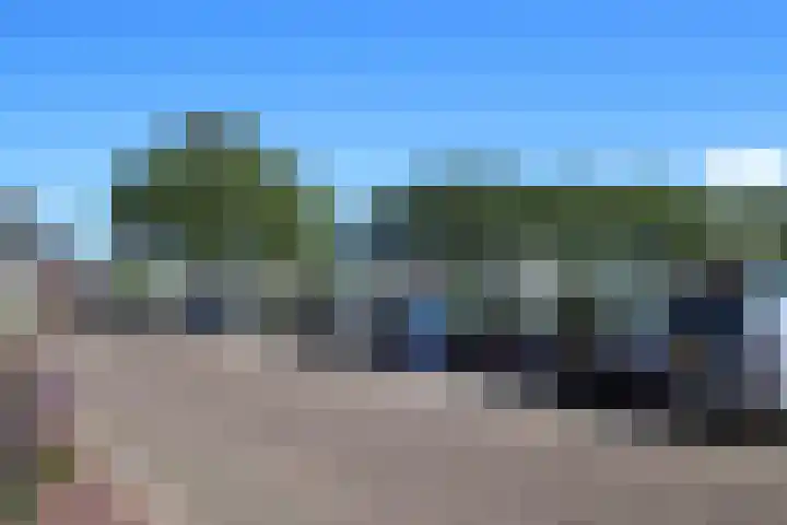Burenlaan 42 Pingjum thumbnail 4