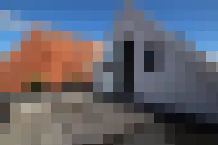 Burenlaan 42 Pingjum thumbnail 40