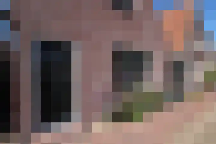 Burenlaan 42 Pingjum thumbnail 6