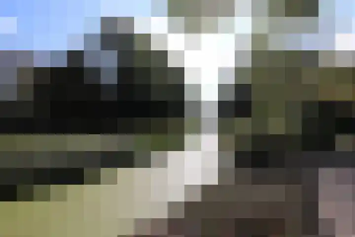 Burenlaan 42 Pingjum thumbnail 9