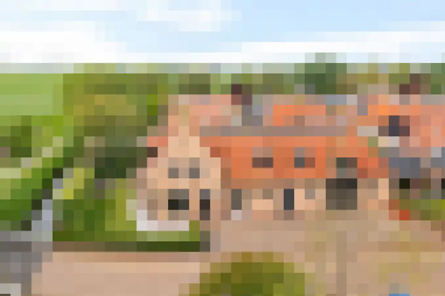Burenlaan 50 Pingjum