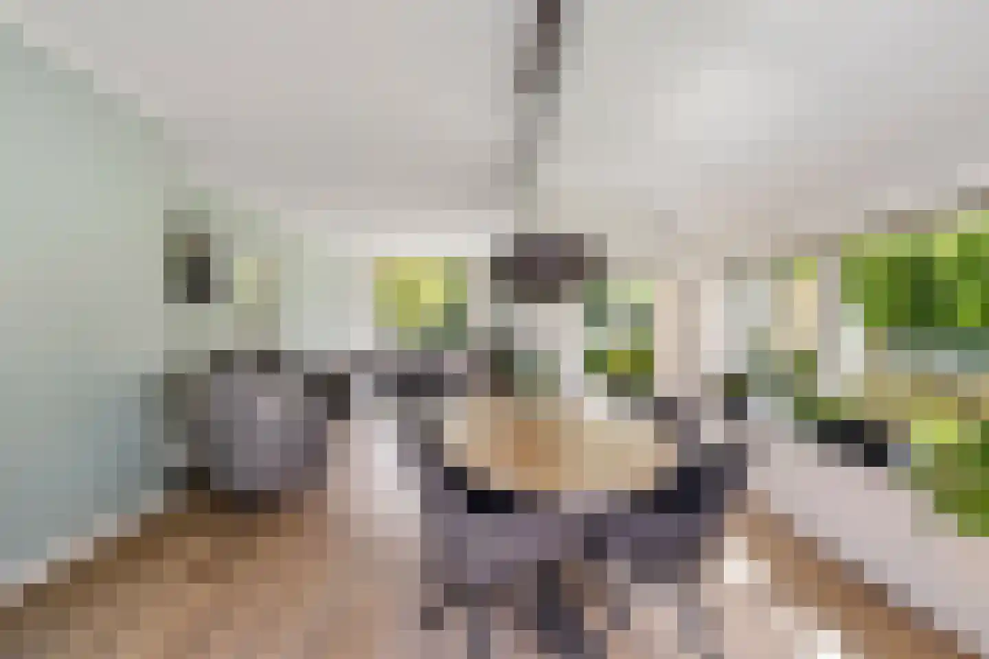 Burenlaan 50 Pingjum thumbnail 11