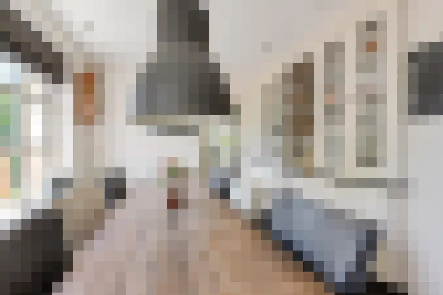 Burenlaan 50 Pingjum thumbnail 13