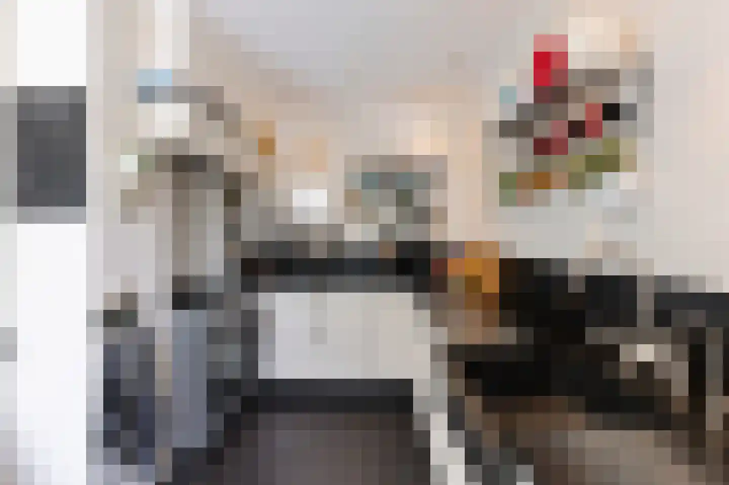 Burenlaan 50 Pingjum thumbnail 15