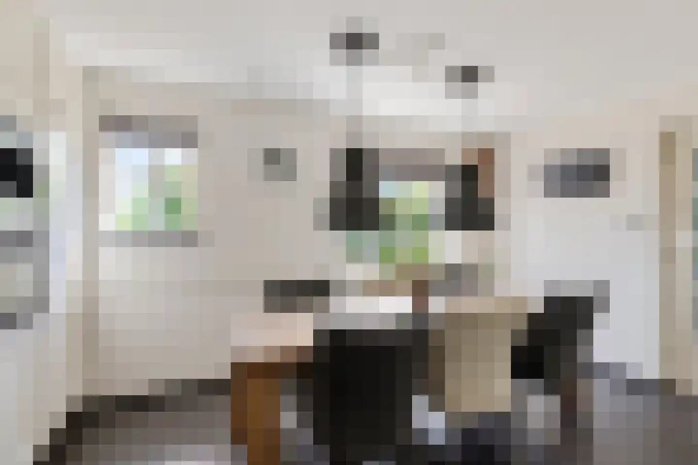 Burenlaan 50 Pingjum thumbnail 16