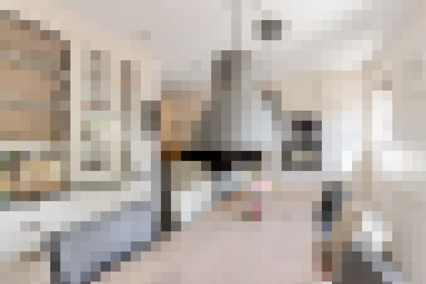 Burenlaan 50 Pingjum thumbnail 17