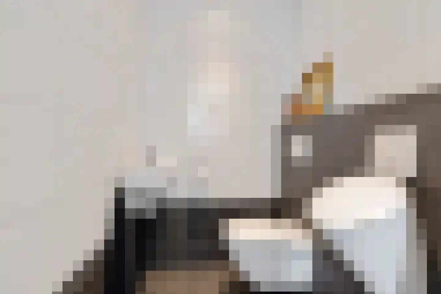 Burenlaan 50 Pingjum thumbnail 18