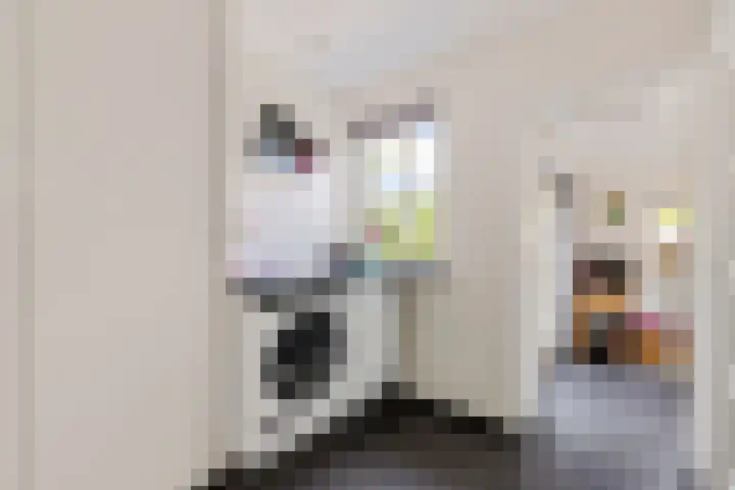 Burenlaan 50 Pingjum thumbnail 19