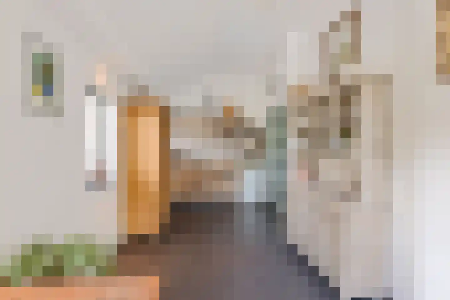 Burenlaan 50 Pingjum thumbnail 20